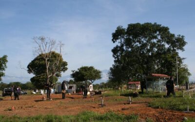 Retos para la Búsqueda, identificación y dignificación de personas desaparecidas forzadamente en Colombia